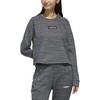 Adidas Džemperis W E Sweat Ft Pilkas FL9189