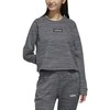 Adidas Džemperis W E Sweat Ft Pilkas FL9189