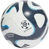 Adidas Futbolo Kamuolys Training Baltas Pilkas IQ4932