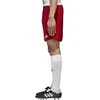 Adidas Futbolo Šortai Parma 16 Shorts Raudona AJ5881