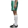 Adidas Futbolo Šortai Squad 17 Shorts Žalias