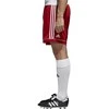 Adidas Futbolo Šortai Squad 17 Shorts Raudona BJ9226P