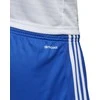 Adidas Futbolo Šortai Tastigo17 Shorts Mėlyna