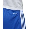Adidas Futbolo Šortai Tastigo17 Shorts Mėlyna