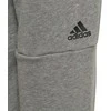 Adidas Kelnės Paauglaims ID Lin Pants Pilkas DZ5935