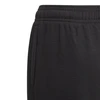 Adidas Kelnės Paaugliams B Bl Ft C Pant Juodas GN4033