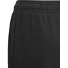 Adidas Kelnės Paaugliams B Bl Ft C Pant Juodas GN4033