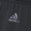 Adidas Kelnės Paaugliams YB LR B SWT PT AJ5637