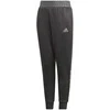 Adidas Kelnės Paaugliams Yb Nm Cuff Pants Juodas DJ1280
