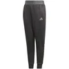 Adidas Kelnės Paaugliams Yb Nm Cuff Pants Juodas DJ1280
