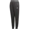 Adidas Kelnės Paaugliams Yb Nm Cuff Pants Juodas DJ1280