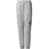 Adidas Kelnės Paaugliams Yb Sid Pants Pilkas CF2457