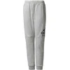 Adidas Kelnės Paaugliams Yb Sid Pants Pilkas CF2457