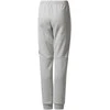 Adidas Kelnės Paaugliams Yb Sid Pants Pilkas CF2457
