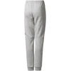 Adidas Kelnės Paaugliams Yb Sid Pants Pilkas CF2457