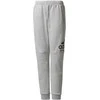 Adidas Kelnės Paaugliams Yb Sid Pants Pilkas CF2457