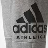 Adidas Kelnės Paaugliams Yb Sid Pants Pilkas CF2457