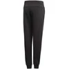 Adidas Kelnės Paaugliams YG E Lin Pants Juodas DV0334