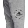 Adidas Kelnės Sid Pants Pilkas DQ1472