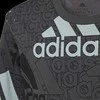 Adidas Marškinėliai Berniukams U Bl Logo Tee Pilkas HP0819