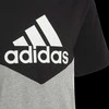 Adidas Marškinėliai Paaugliams B Cb T Ess Juodas Pilkas HA4025