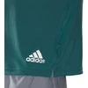 Adidas Marškinėliai Vyrams Run Tee M Mint HB7475