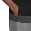 Adidas Maudymosi Šortai Vyrams Block Clx Sl Pilkas Juodas