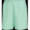 Adidas Maudymosi Šortai Vyrams Solid Clx Sh Sl Mint HA0386