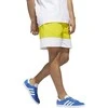 Adidas Originals Šortai Vyrams Freestyle Shorts Geltona Baltas
