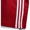 Adidas Šortai Paaugliams 3G Spee Rev Shr Raudona Baltas DY6627