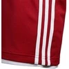Adidas Šortai Paaugliams 3G Spee Rev Shr Raudona Baltas DY6627