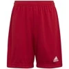 Adidas Šortai Paaugliams Ent22 Short Y Raudona H57501