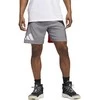 Adidas Šortai Vyrams Galaxy Short Pilkas Raudona HE2902