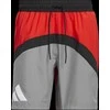 Adidas Šortai Vyrams Galaxy Short Pilkas Raudona HE2902