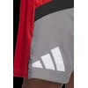 Adidas Šortai Vyrams Galaxy Short Pilkas Raudona HE2902