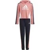 Adidas Sportinis Kostiumas Mergaitėms G Hooded Crop Ts Juodas Rožinė GM8933