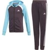 Adidas Sportinis Kostiumas Mergaitėms G Hood Cot Ts1 Violetinė Mėlyna GE0711