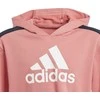 Adidas Sportinis Kostiumas Mergaitėms G Hooded Crop Ts Juodas Rožinė GM8933