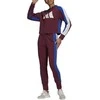 Adidas Sportinis Kostiumas Moterims W Ts Big Logo Burgundy H48550