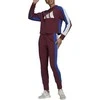 Adidas Sportinis Kostiumas Moterims W Ts Big Logo Burgundy H48550