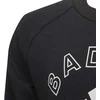 Adidas Sportinis Kostiumas Vaikams Lk Logo Jog Set Juodas H65797