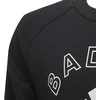 Adidas Sportinis Kostiumas Vaikams Lk Logo Jog Set Juodas H65797