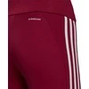 Adidas Tamprės Moterims W 3s 78 Tight Bordo HD6837