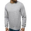J.Style Džemperis Vyrams Fleece Light Pilkas 68B2001-2