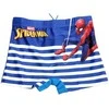 Marvel Maudymosi Glaudės Berniukams Spired Man Mėlyna SP-G-SWIM-118/SM