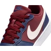 Nike Avalynė Paaugliams Court Borough Low Dark Mėlyna Bordo DV5456 602