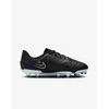 Nike Avalynė Paaugliams Jr Legend 10 Academy Fg/Mg Mėlyna Juodas Pilkas DV4348 040