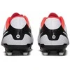 Nike Avalynė Paaugliams Jr Legend 10 Club Fg/Mg Baltas DV4352 100
