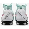 Nike Avalynė Paaugliams Jr Phantom Luna II Club Fg/Mg Mint FJ2601 300
