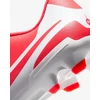 Nike Avalynė Vyrams Legend 10 Club Fg/Mg Hot Lava DV4344 800